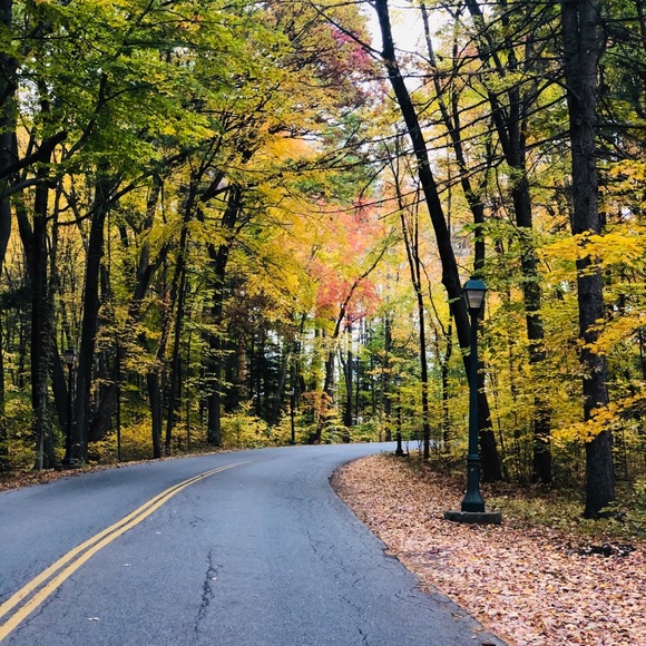 Meet your Posher, Corinna - Picture 2 of 4